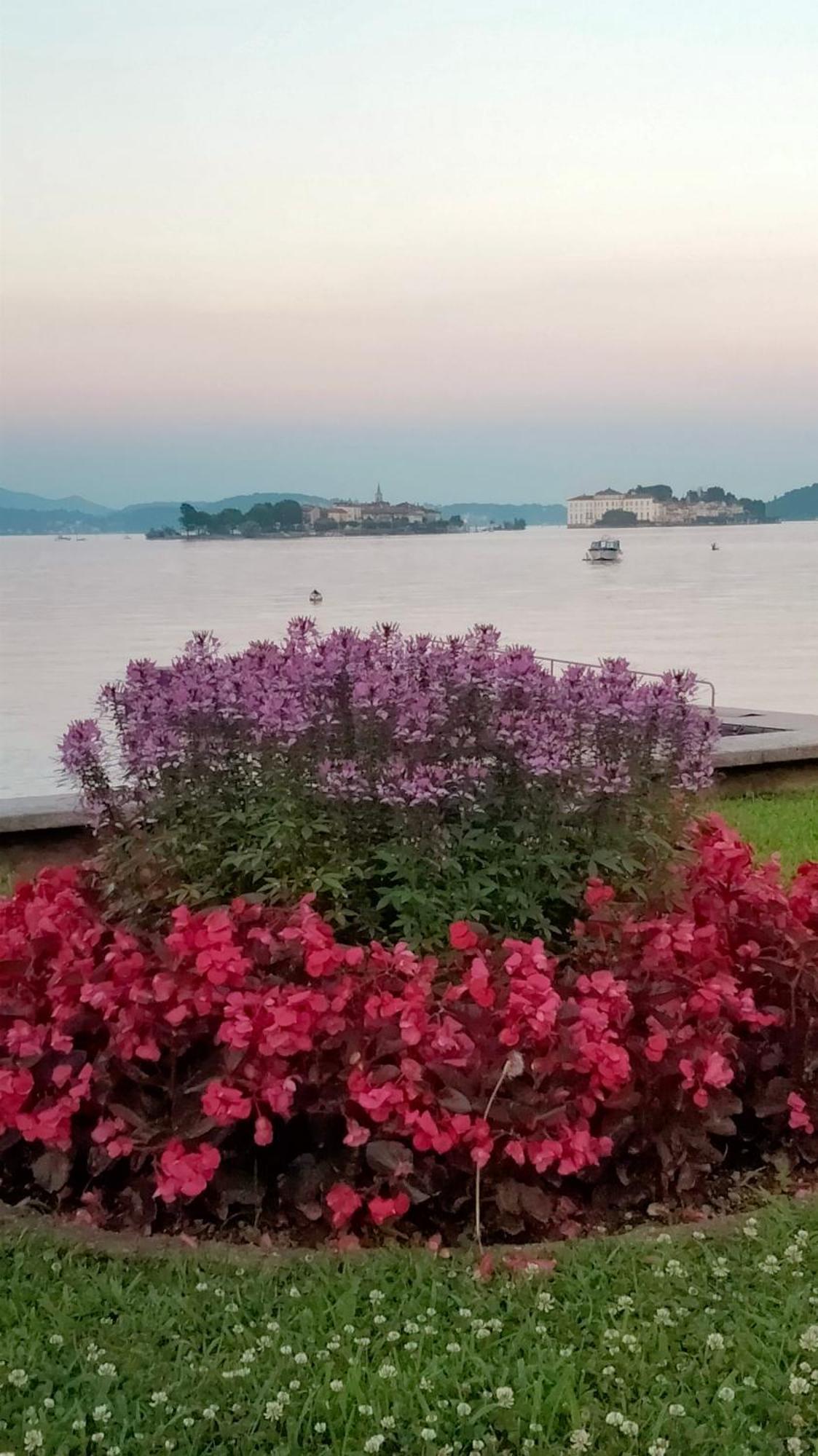 Doba House Leilighet Baveno Eksteriør bilde